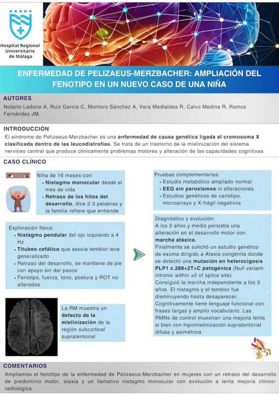 P.06. Enfermedad de Pelizaeus-Merzbacher: ampliación del fenotipo en un nuevo caso de una niña