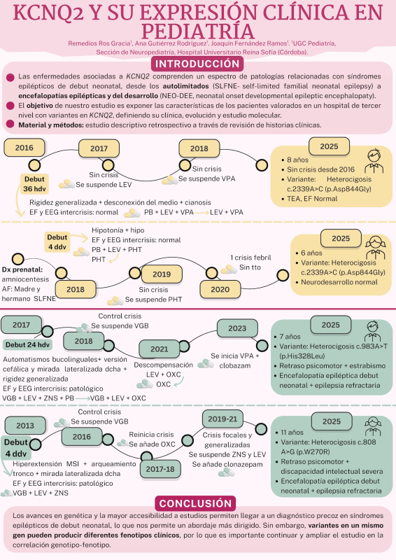 P.13. KCNQ2 y su expresión clínica en pediatría